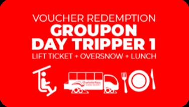 Image for: Groupon - Day Tripper 1